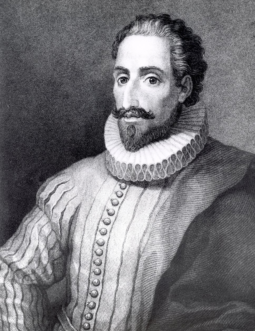 Cervantes, autore spagnolo da Unknown