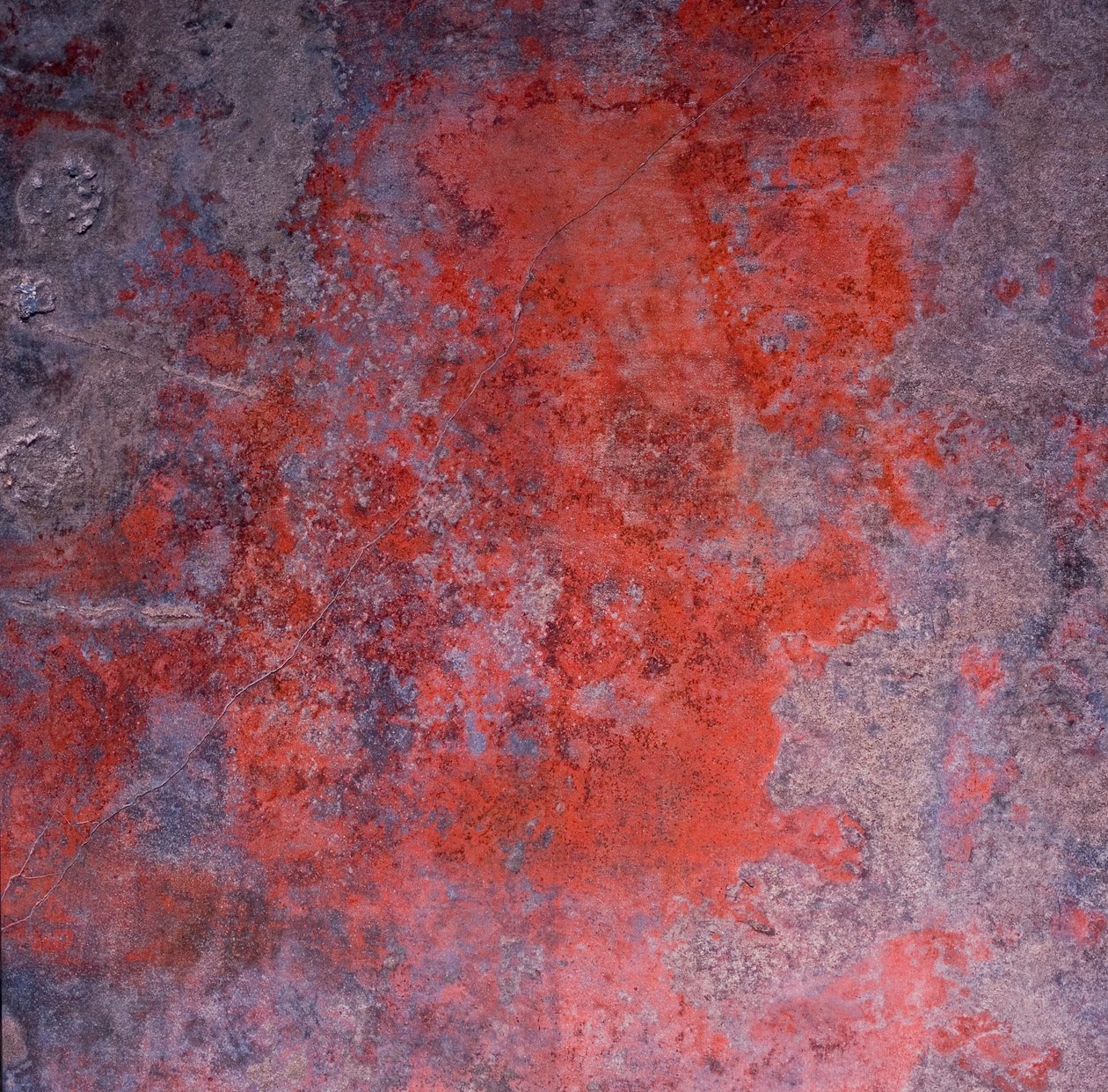 Dettaglio di un affresco da Unknown