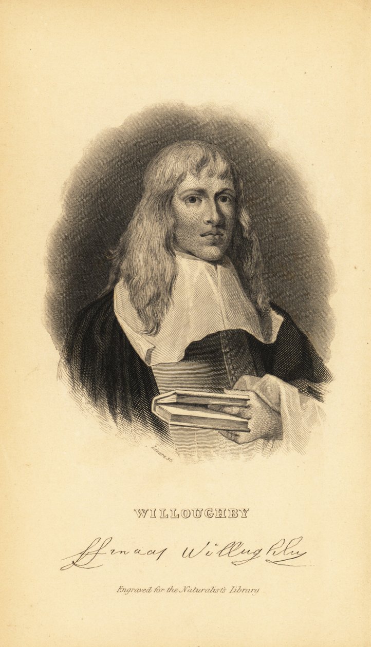 Francis Willughby o Willoughby, ornitologo e ittiologo inglese, 1635-1672 da Unknown