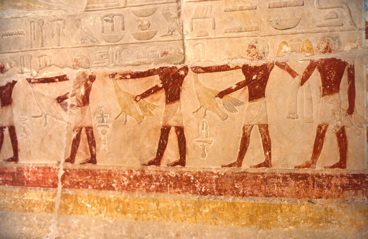 Geroglifici, Egitto da Unknown