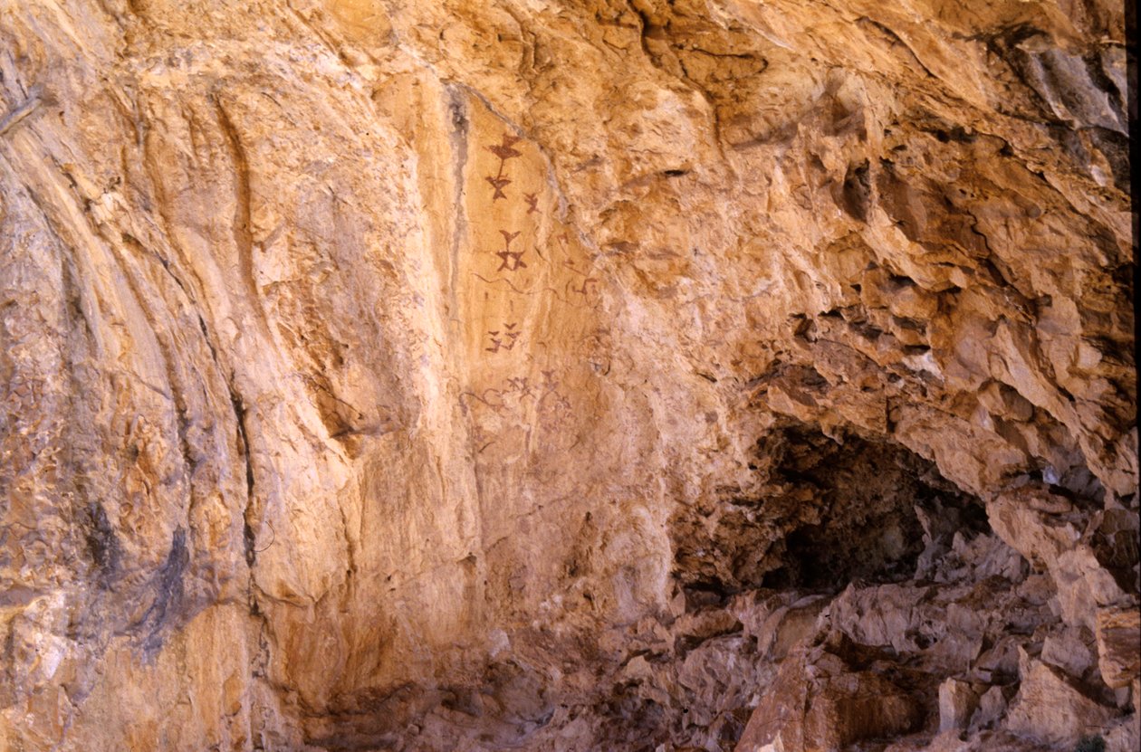 Grotta dei Letreros, vicino a Velez Blanco, Andalusia, 4000 a.C., pitture rupestri di uccelli da Unknown