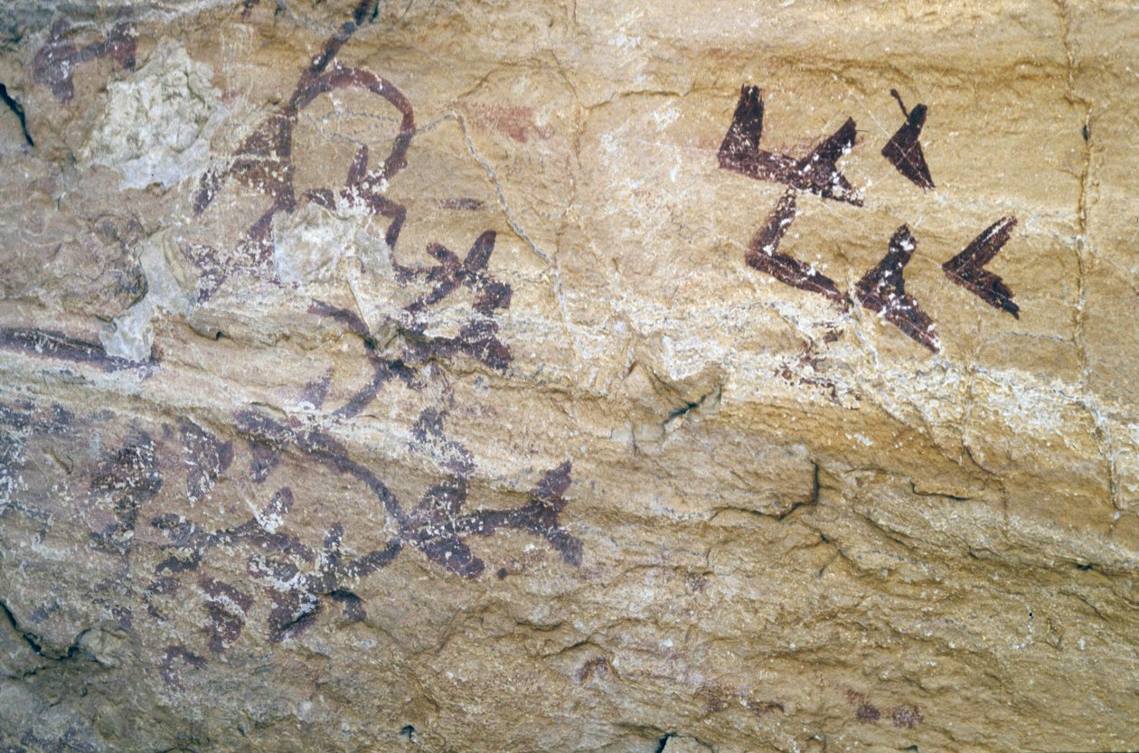 Grotta dei Letreros, vicino a Velez Blanco, Andalusia, 4000 a.C., pitture rupestri di uccelli da Unknown