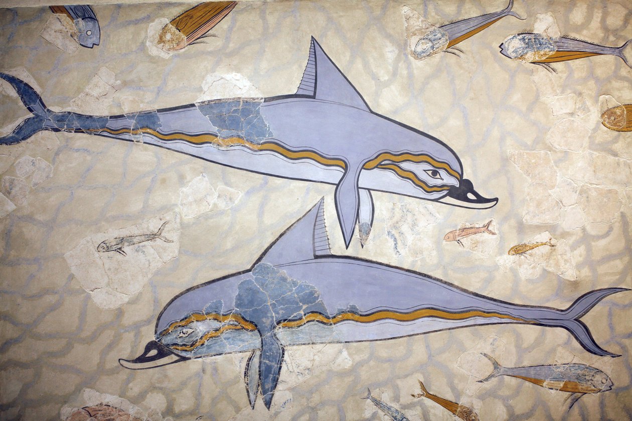 Arte minoica. Il “Fresco dei Delfini”. Il fresco decorava la parete o il pavimento di una sala sopra il megaron della Regina. Affresco ricostruito da frammenti dell