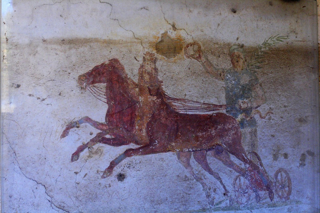 Domus dell