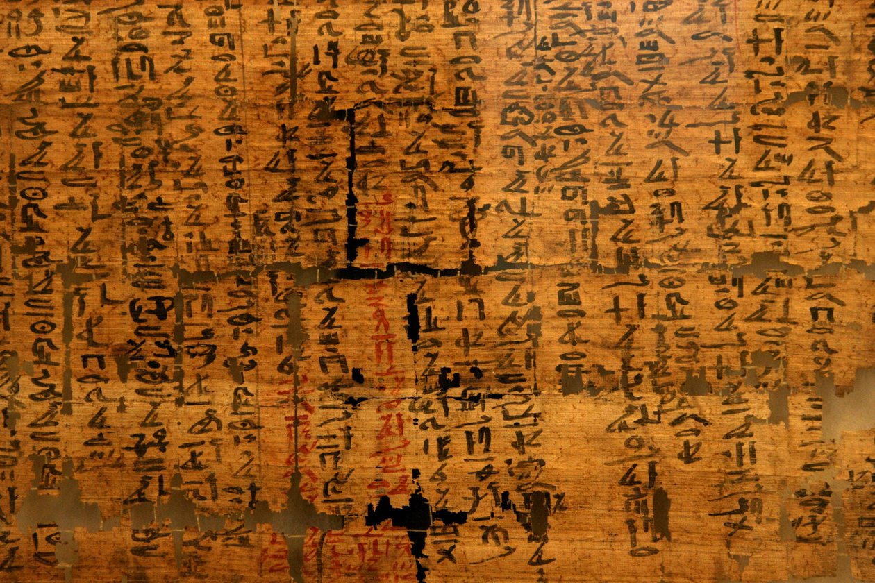 Papiro sconosciuto XII: documento contenente rimedi contro i morsi di serpente, per dolori agli occhi apparso sotto il regno di Ramses III (1976-1646 a.C.). Museo Egizio di Torino. da Unknown