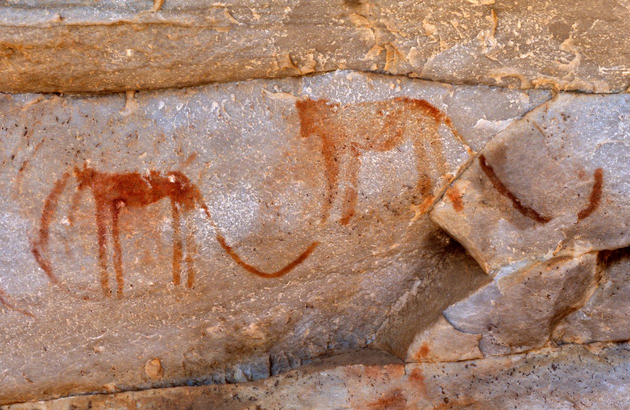 Pitture rupestri dei San (Boscimani), Cedarburg, Western Cape da Unknown