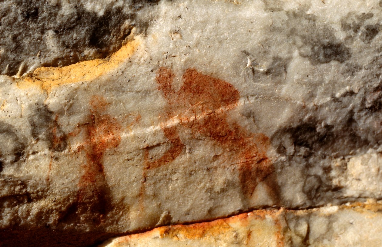 Pitture rupestri dei San (Boscimani), Cedarburg, Western Cape da Unknown