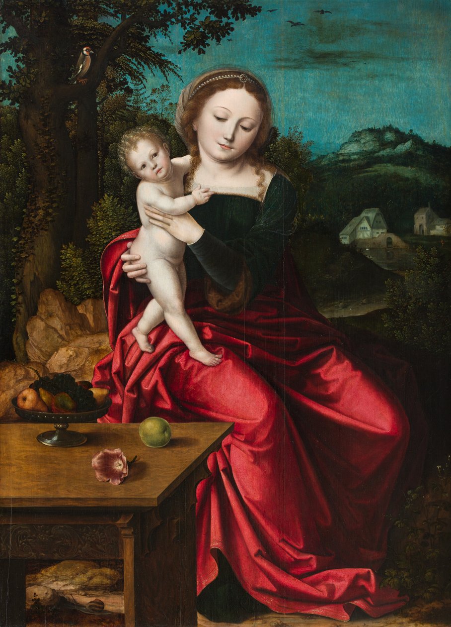Madonna con Bambino, c.1515 da Master of the Parrot