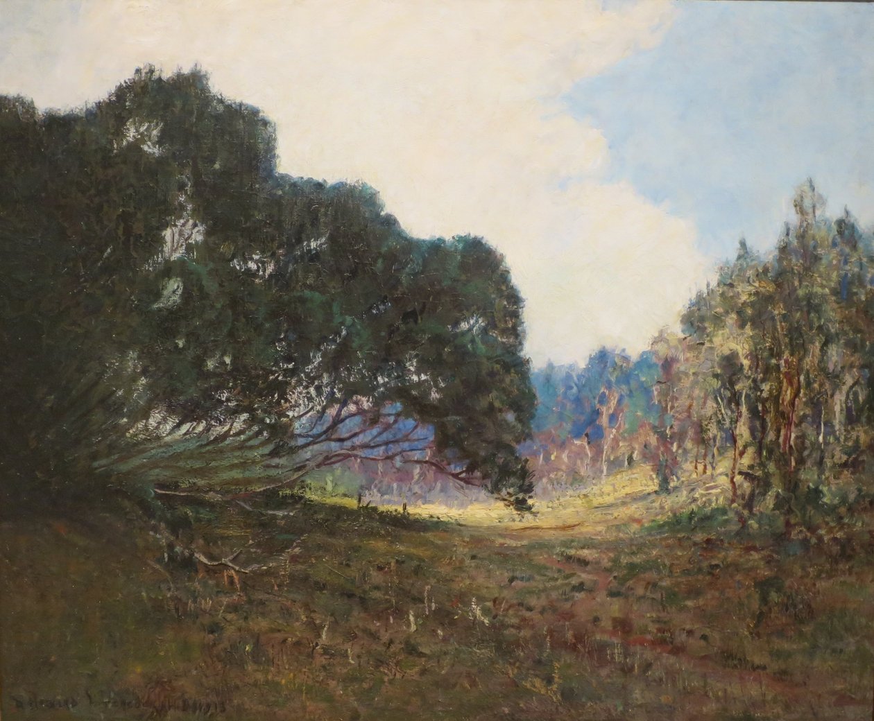Immagine sconosciuta da D. Howard Hitchcock