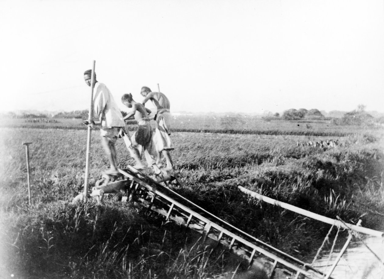 Pompa a spina di drago, Cina, c.1870-80 da European Photographer