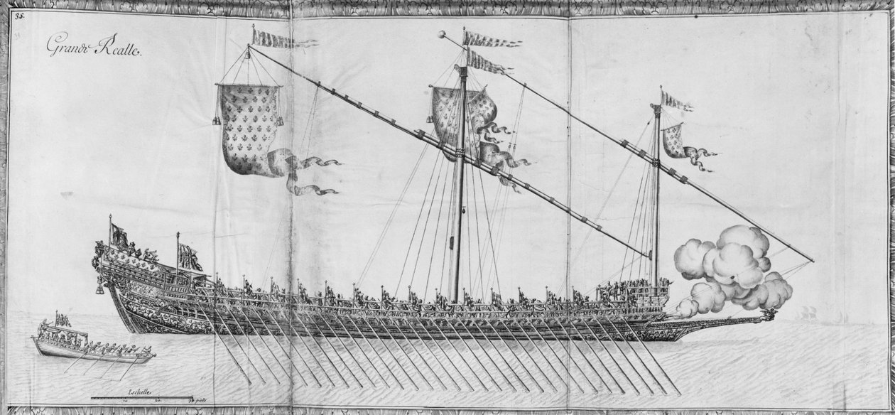 Una galea, tavola 35, illustrazione da 
