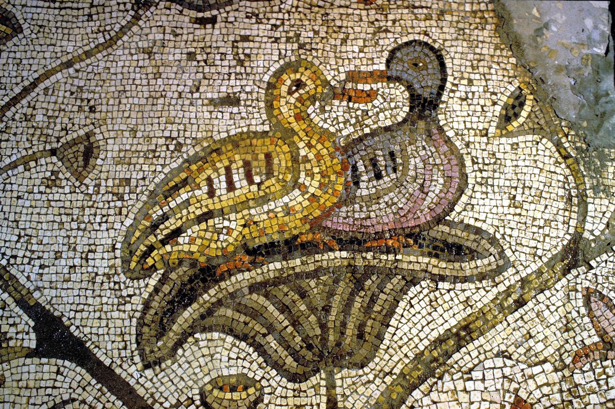 (dettaglio) dal mosaico di Tabgha da Unknown