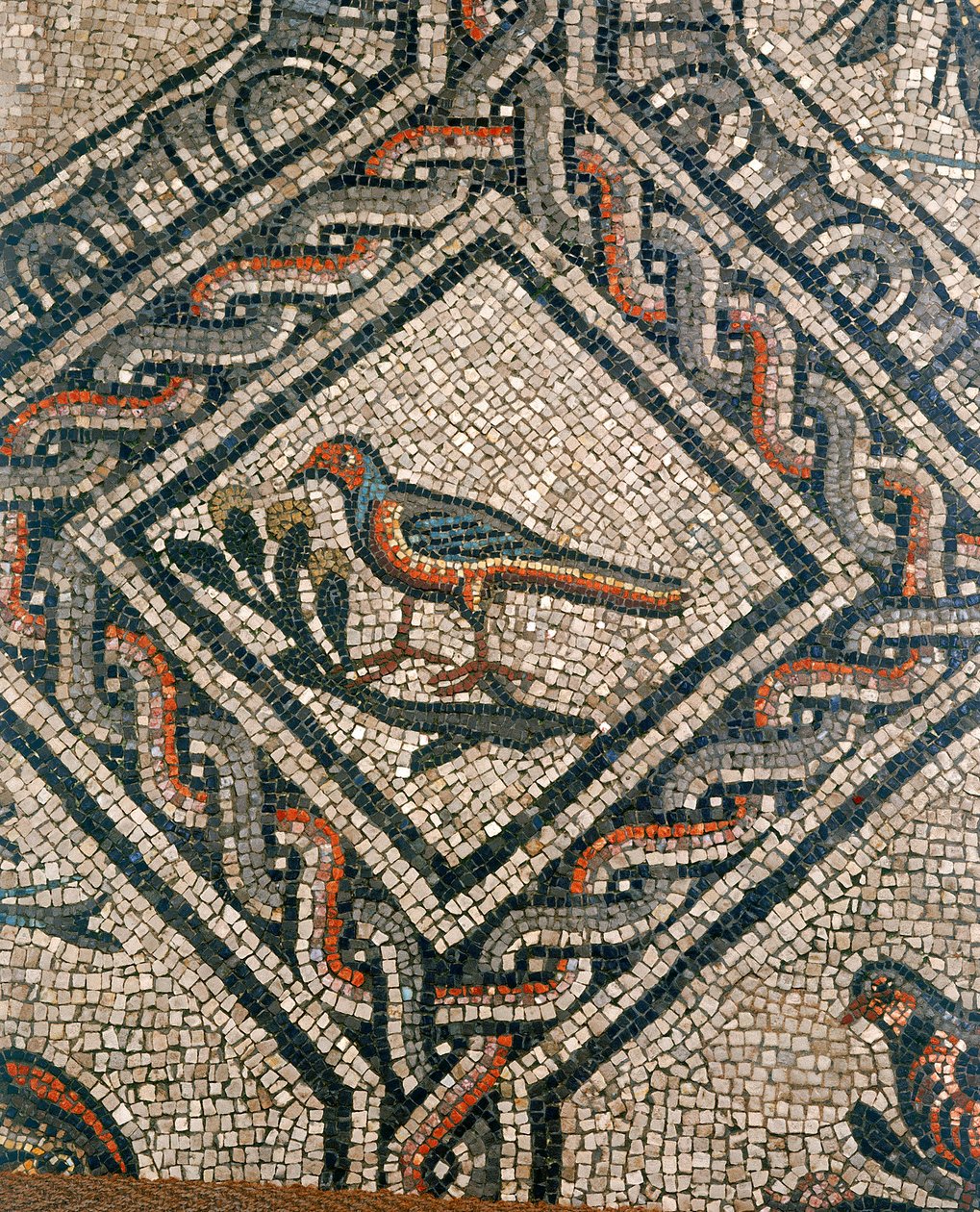 Dettaglio del pavimento della Basilica paleocristiana di Aquileia, Udine da Unknown