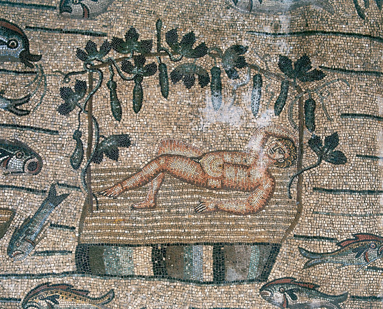 Profeta Giona a riposo, dettaglio del pavimento della Basilica paleocristiana di Aquileia, Udine da Unknown