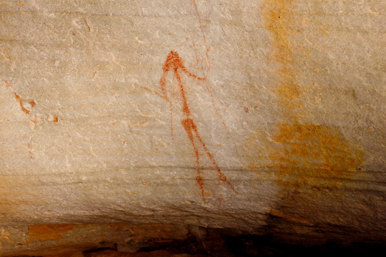 Arte rupestre dei San da Unknown