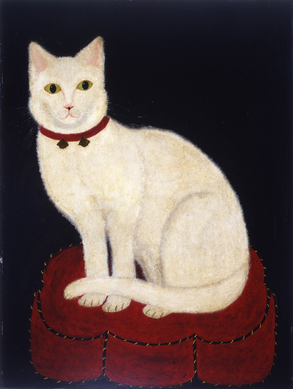 Tinkle, un gatto, 1883 da American School