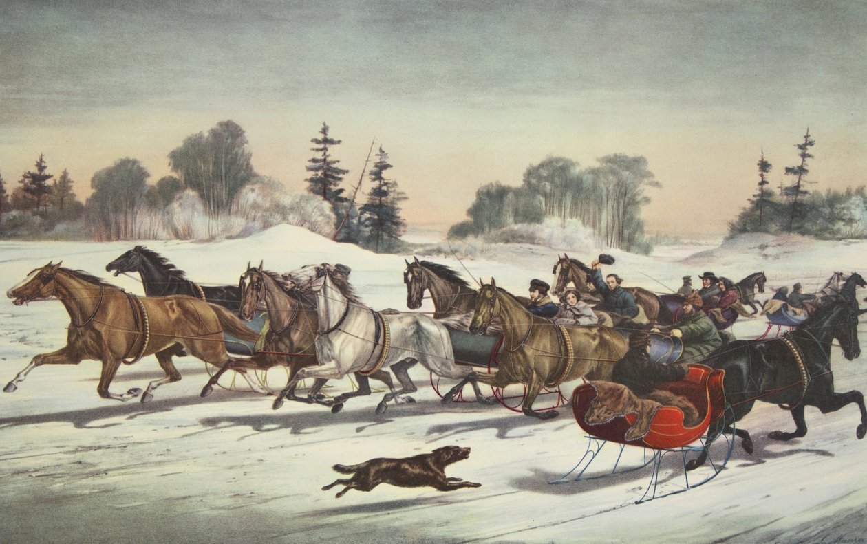 Trotting Cracks sulla neve da American School