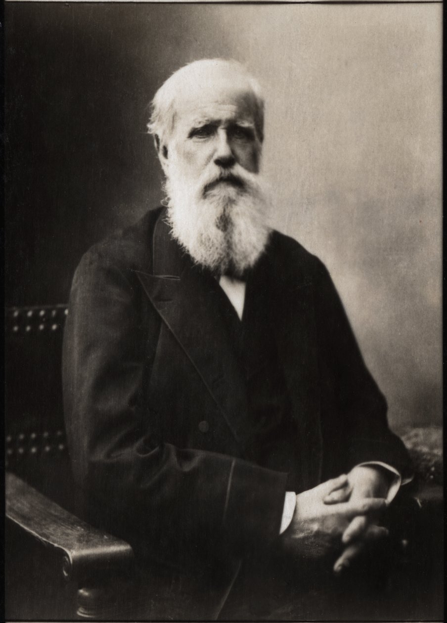 Ritratto di Dom Pedro II (Pietro II) (1825-1891), Imperatore del Brasile da French Photographer