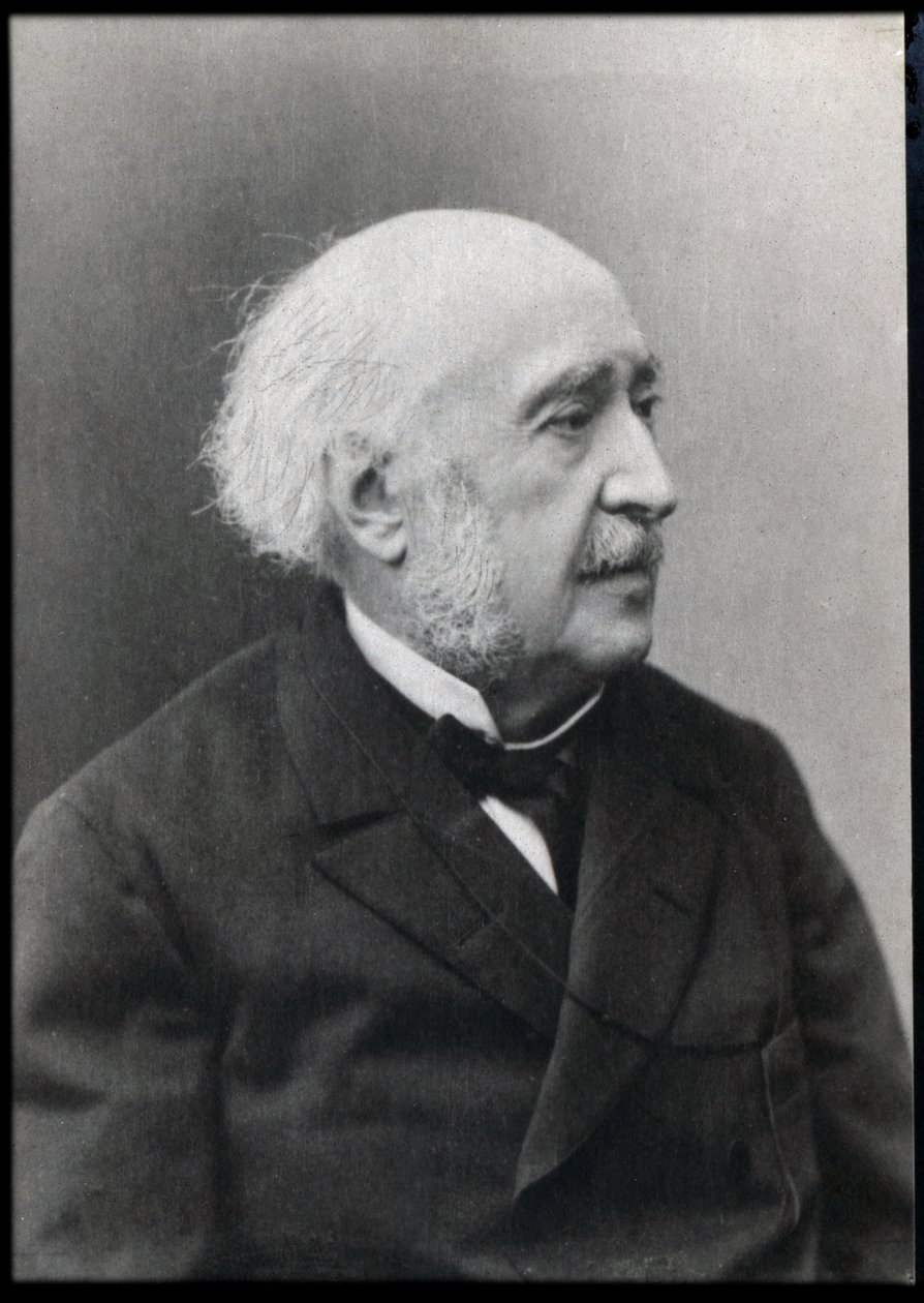Ritratto di Francois Jules Suisse (Jules Simon) (1814-1896), statista e filosofo francese da French Photographer