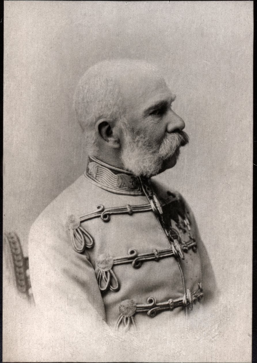Ritratto di Francesco Giuseppe I (1830-1916), Imperatore d