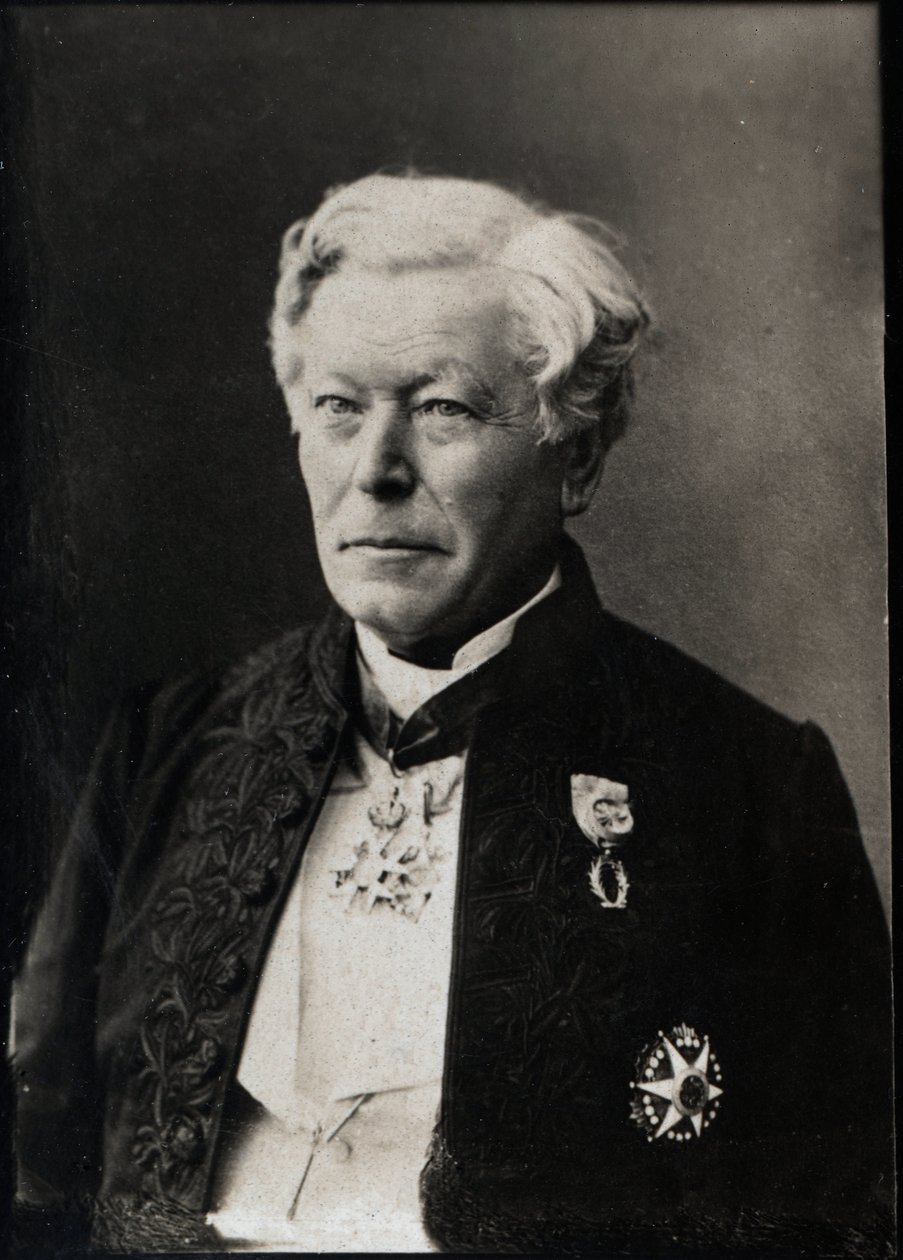 Ritratto di Herve Auguste Faye (1814-1902), astronomo francese da French Photographer