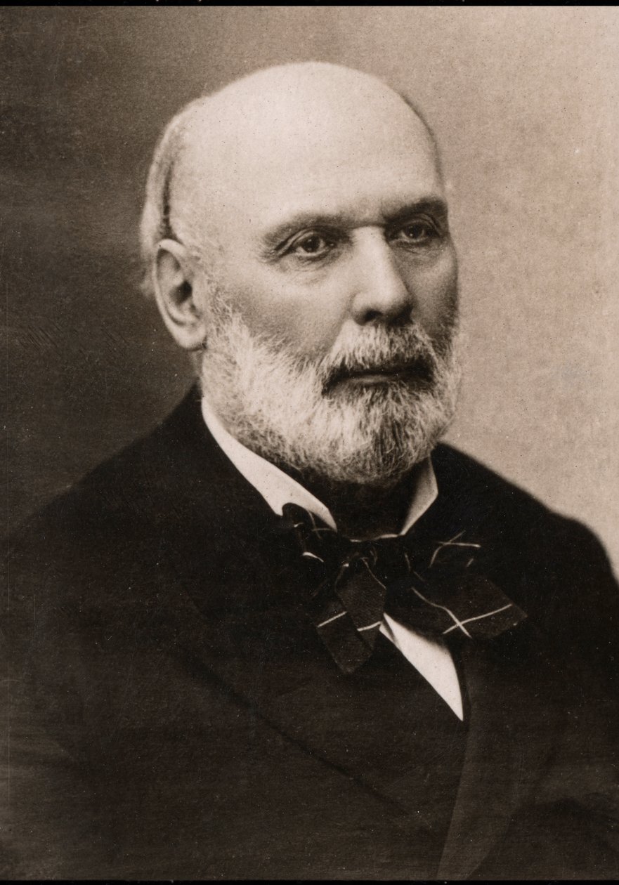 Ritratto di Jules Grévy (1807-1891), politico francese da French Photographer