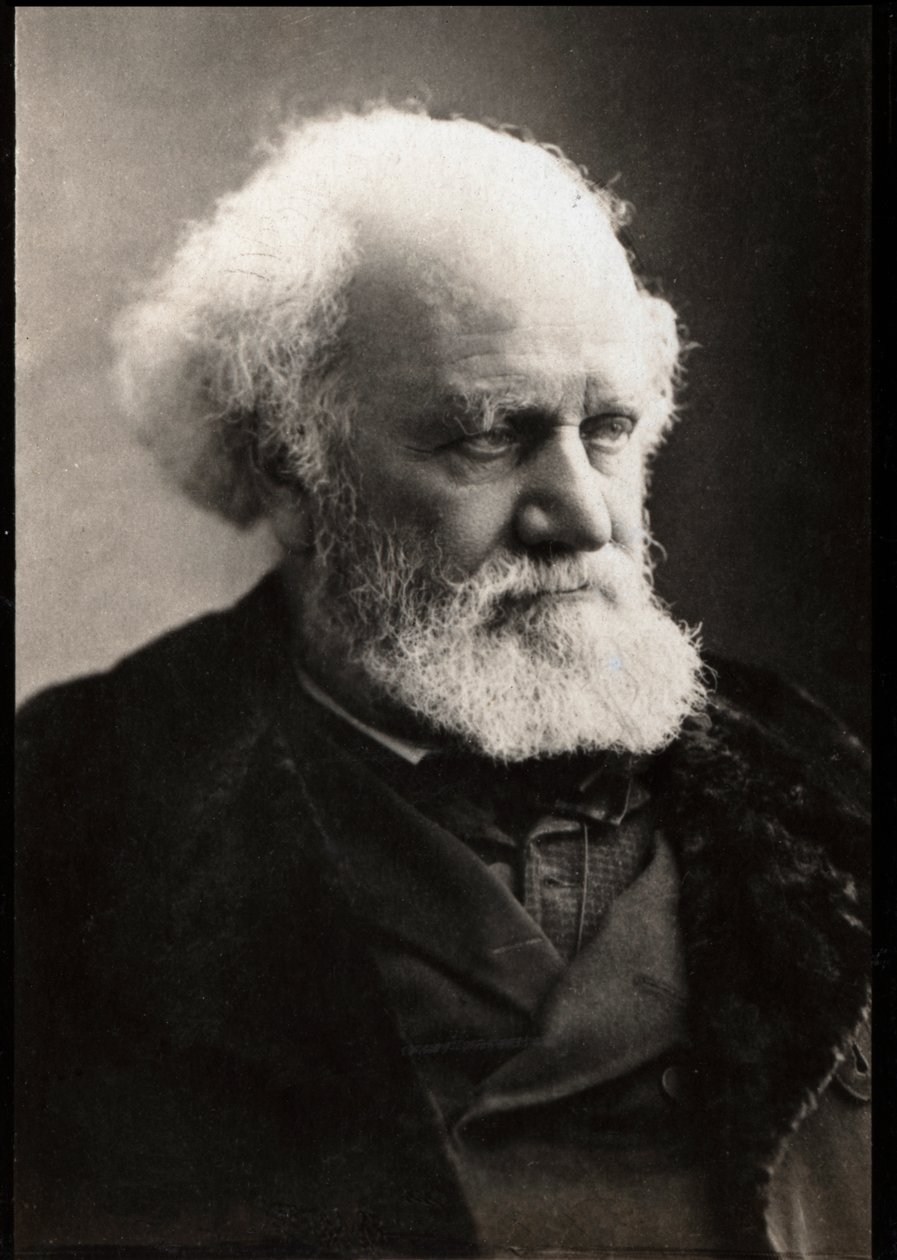 Ritratto di Jules Janssen (Pierre Jules Cesar Janssen) (1824-1907), astronomo francese da French Photographer