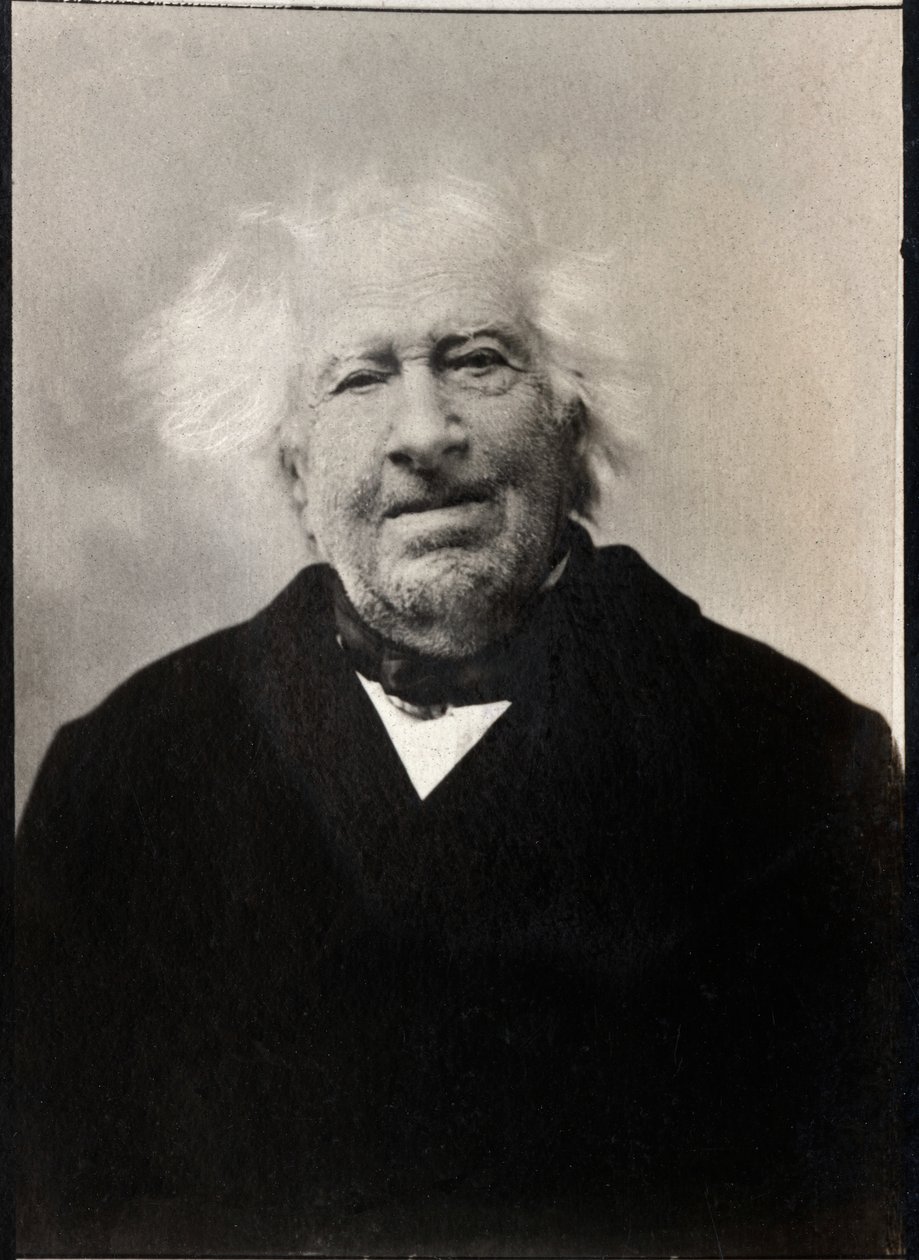 Ritratto di Michel Eugene Chevreul (1786-1889), chimico francese da French Photographer