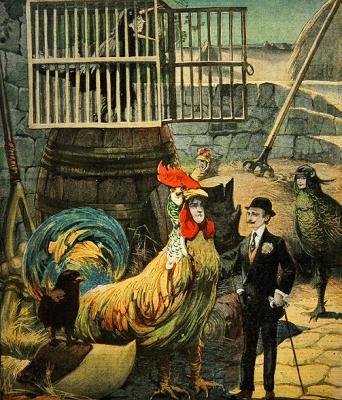 Chantecler, opera teatrale in versi di Edmond Rostand, copertina di Le Petit Journal, 30 gennaio 1910 da French School