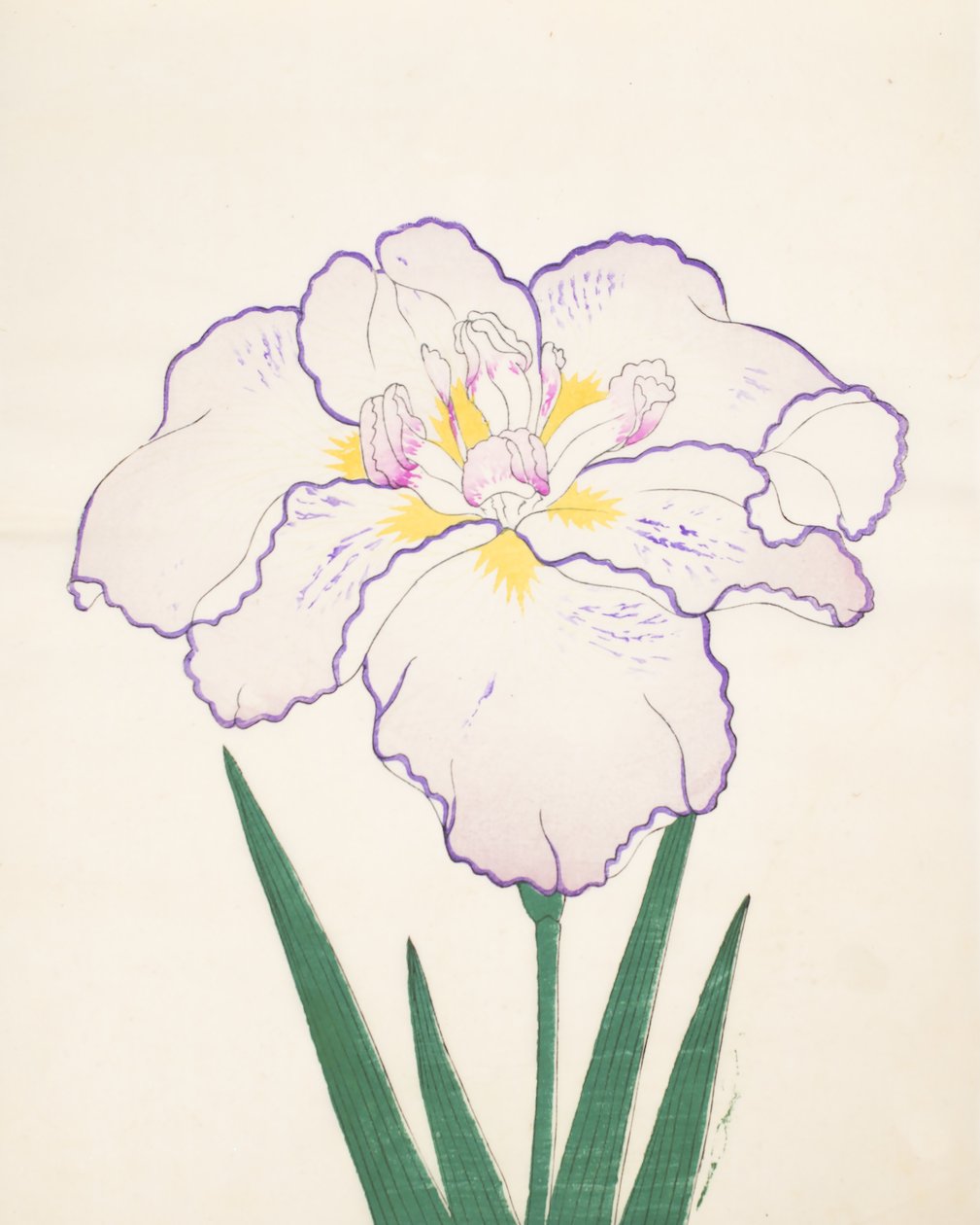 Tanporo, No. 51, 1890 da Japanese School