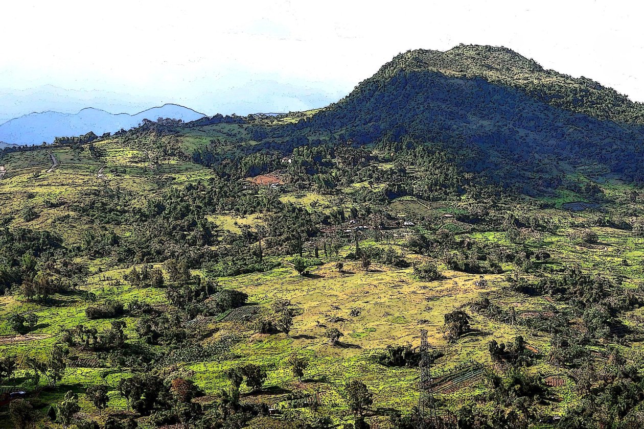 Colline di Cebu da Detlef B. Fischer