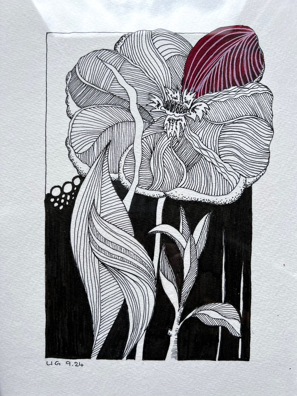 Fiore da Urs Grünenfelder