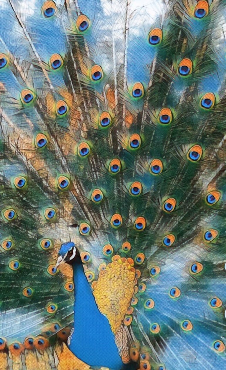 Pavo Real. da Margareta Uliarte