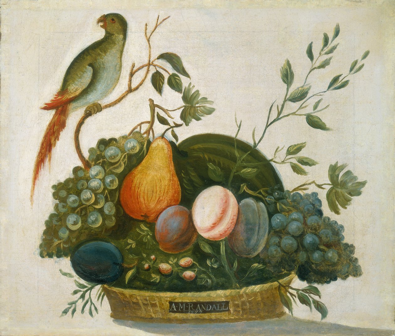 Cesto di frutta con pappagallo da A.M. Randall