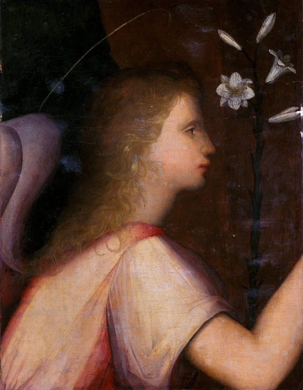 Arcangelo Gabriele da A. 1485 c.1525 Piccinelli