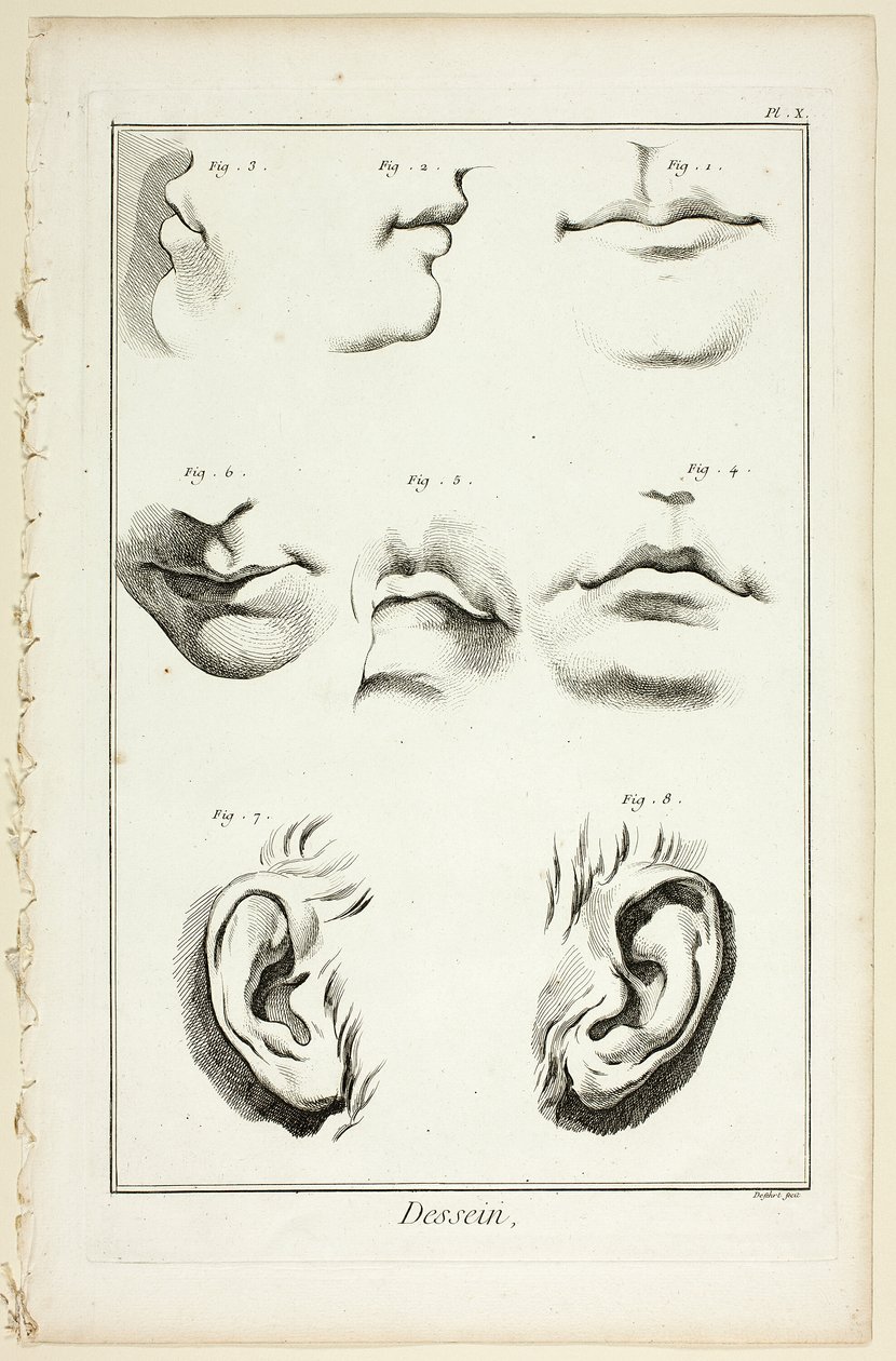 Design: Anatomia del viso dall