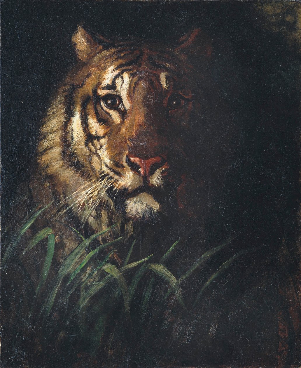 Testa di tigre da Abbott Handerson Thayer