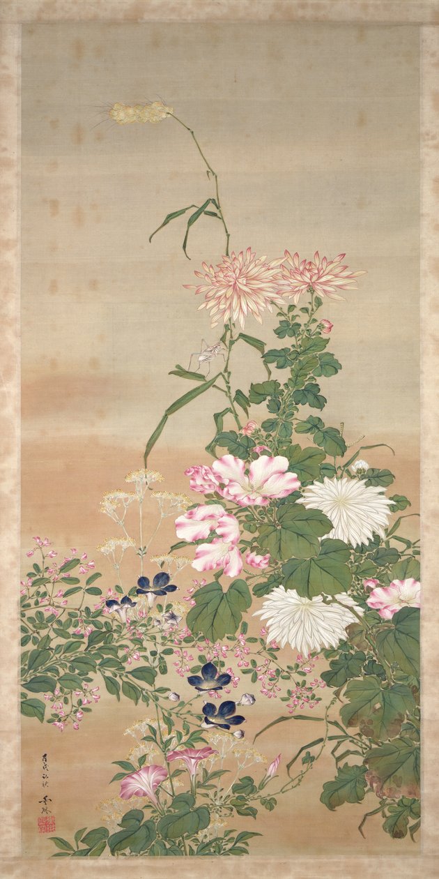 Fiori in autunno da Abe Kan Torin