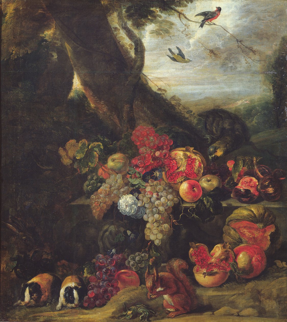 Frutta e animali da Abraham Brueghel