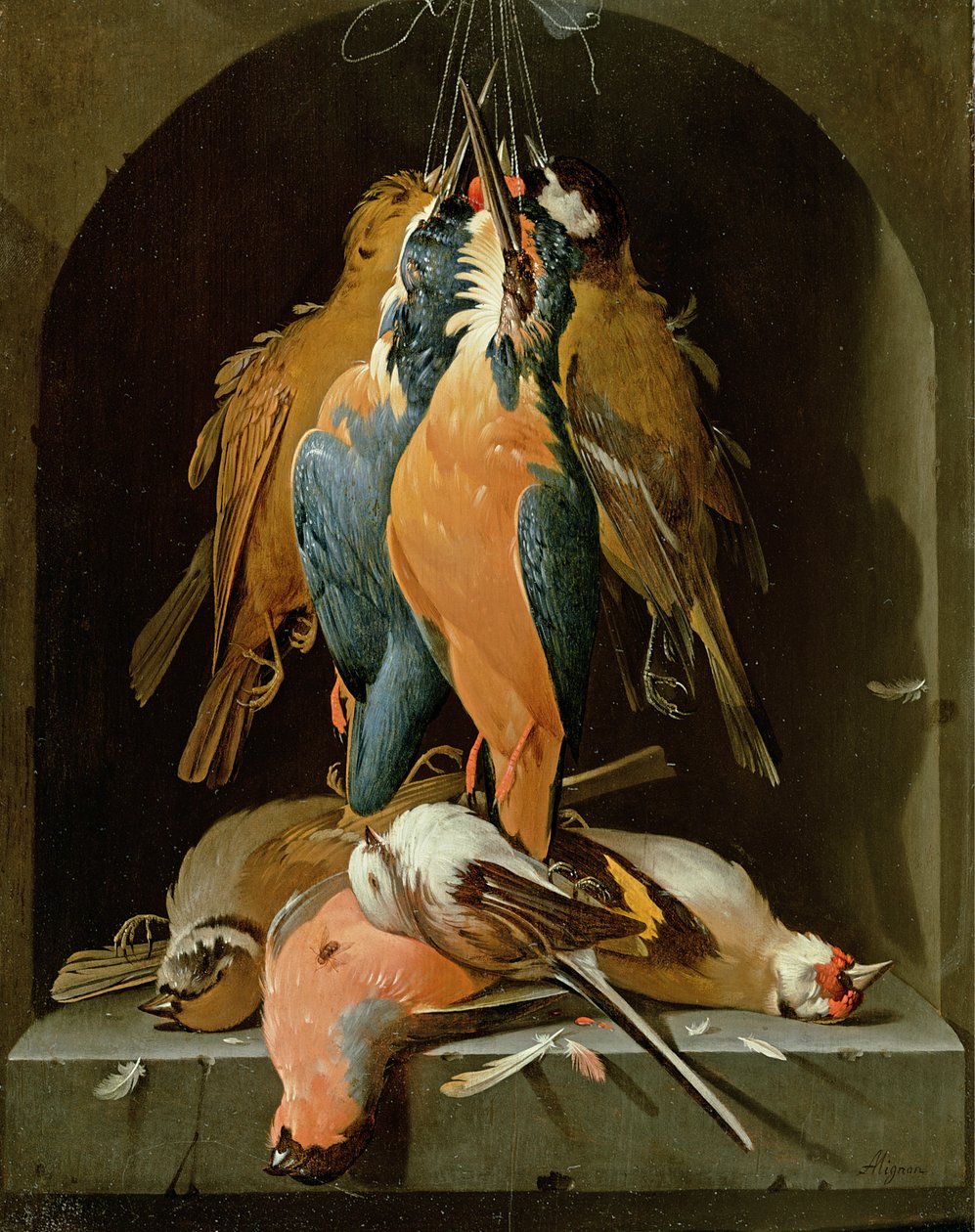 Natura morta di uccelli da Abraham Mignon