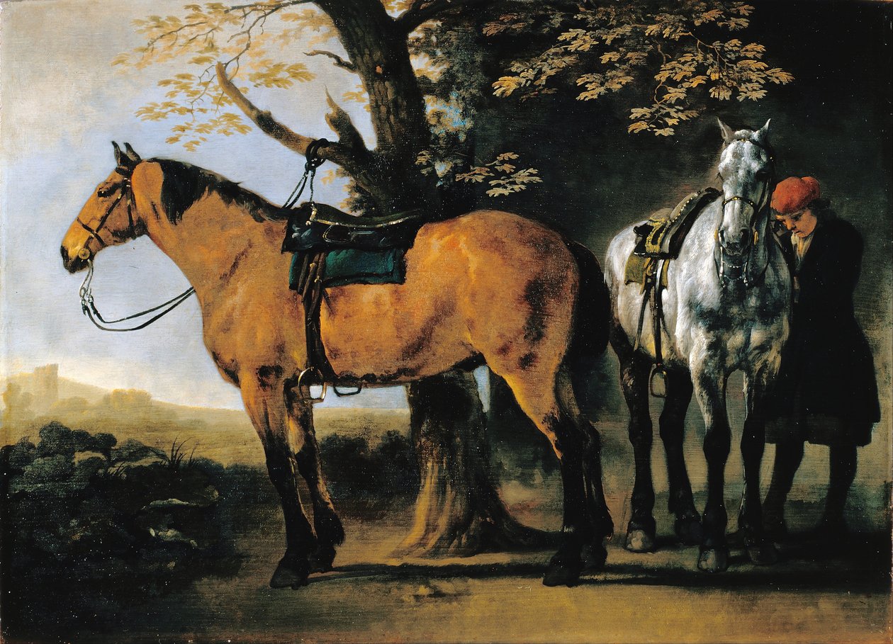 Due Cavalli da Abraham van Calraet