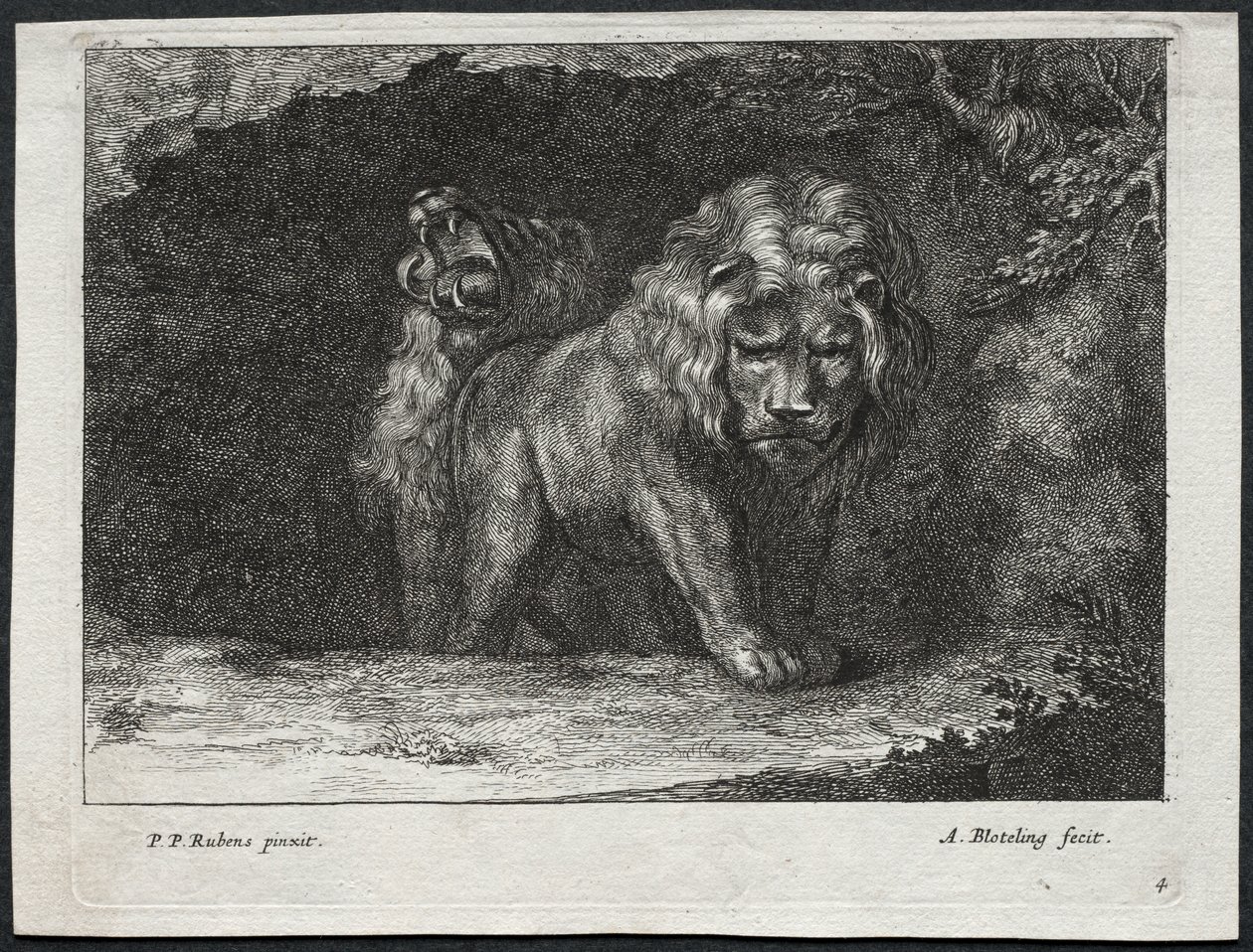Vari leoni da Abraham Blooteling