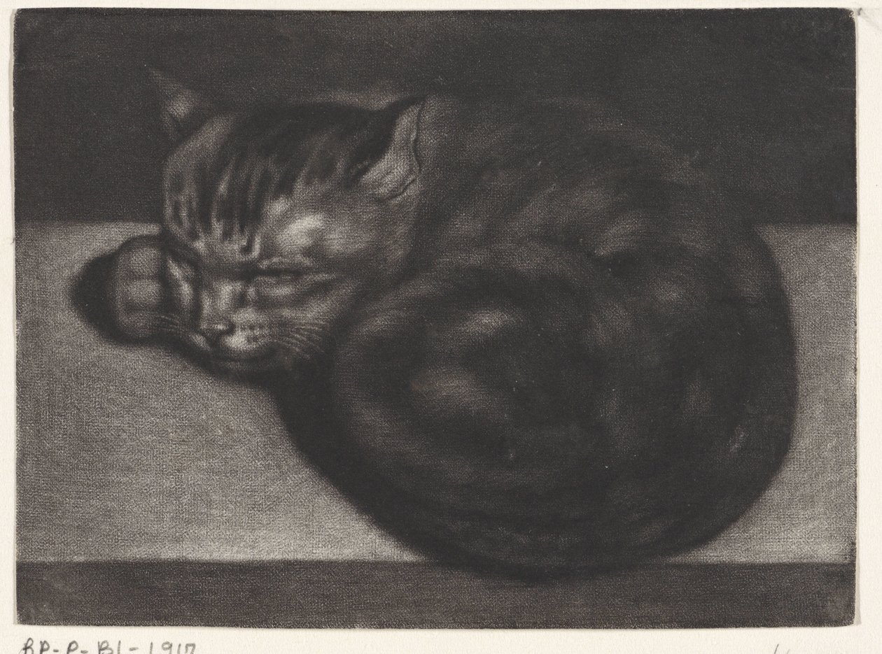 Gatto che dorme da Abraham Bloteling