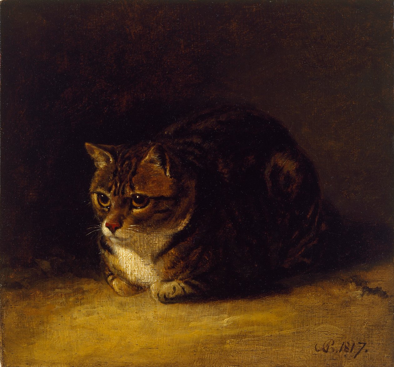 Studio di un gatto, 1817 da Abraham Cooper