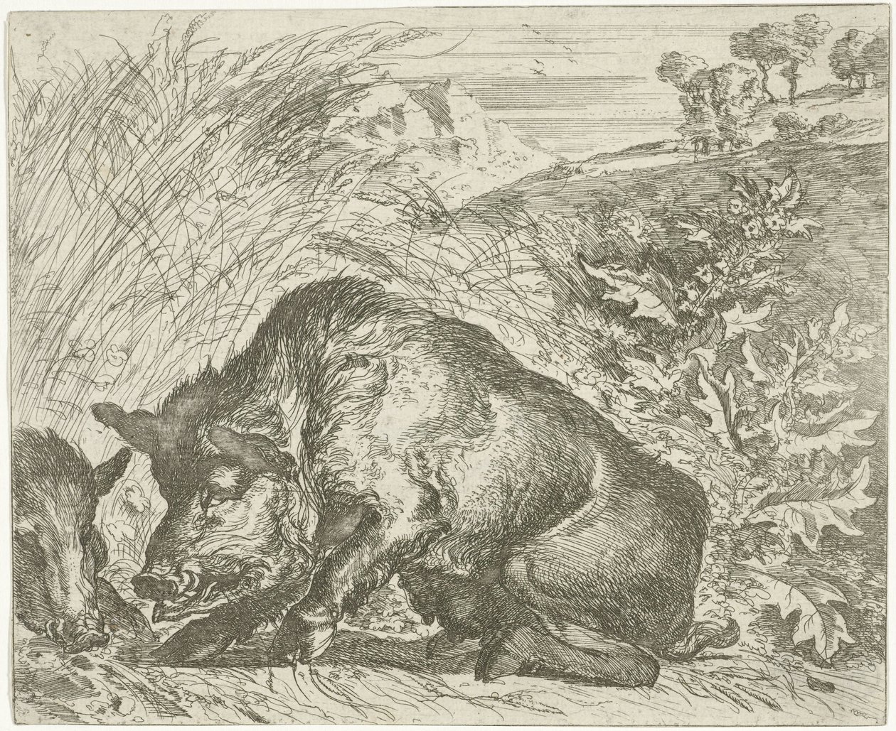 Cinghiale (serie) da Abraham Danielsz. Hondius