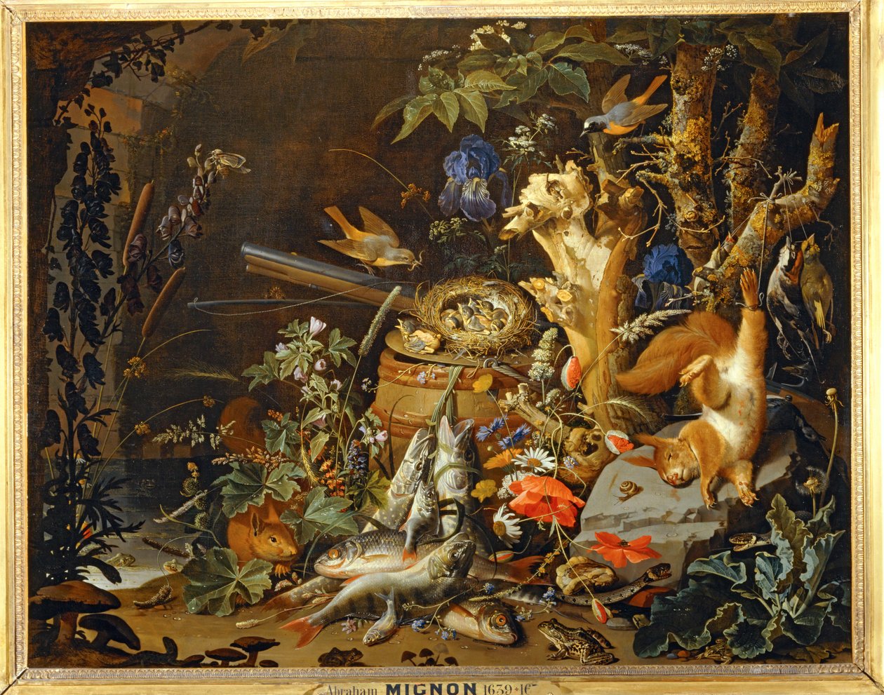Il nido dei fringuelli ... da Abraham Mignon