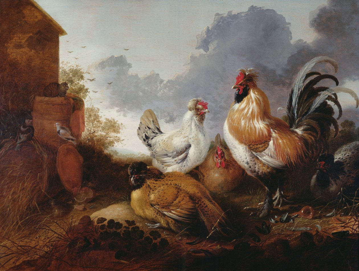 Pollame in un cortile da Abraham van Calraet