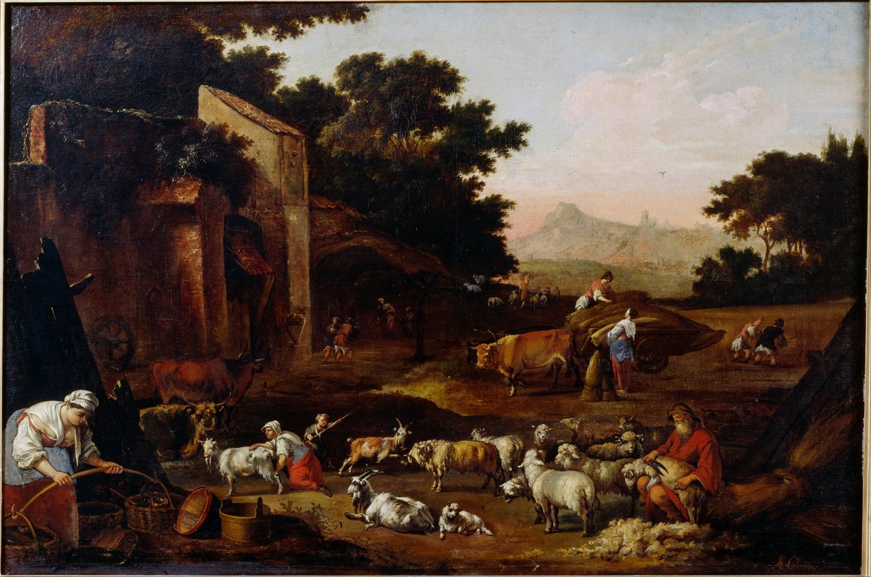 Tosatura delle pecore da Adam Colonia