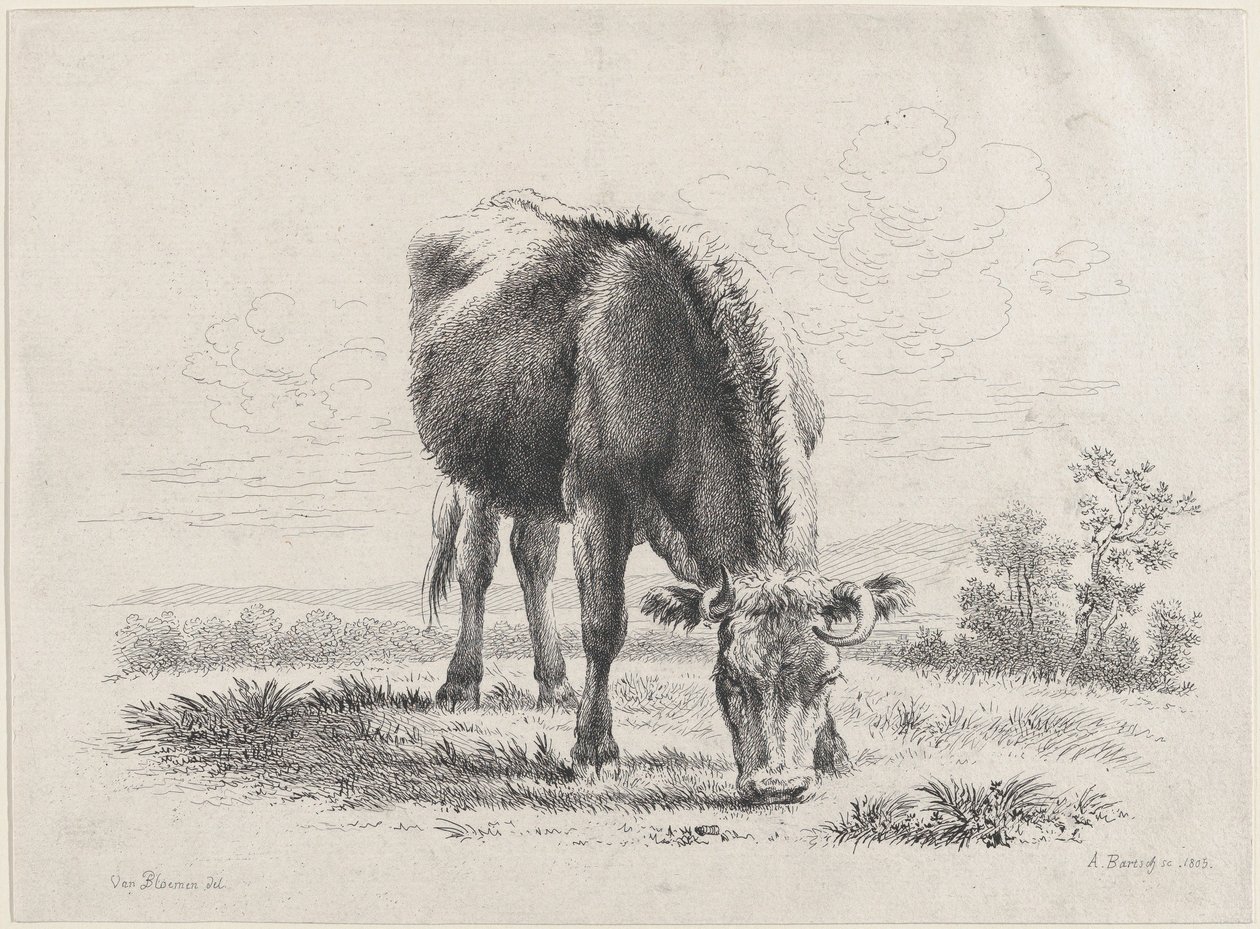 Mucca al pascolo da Adam von Bartsch