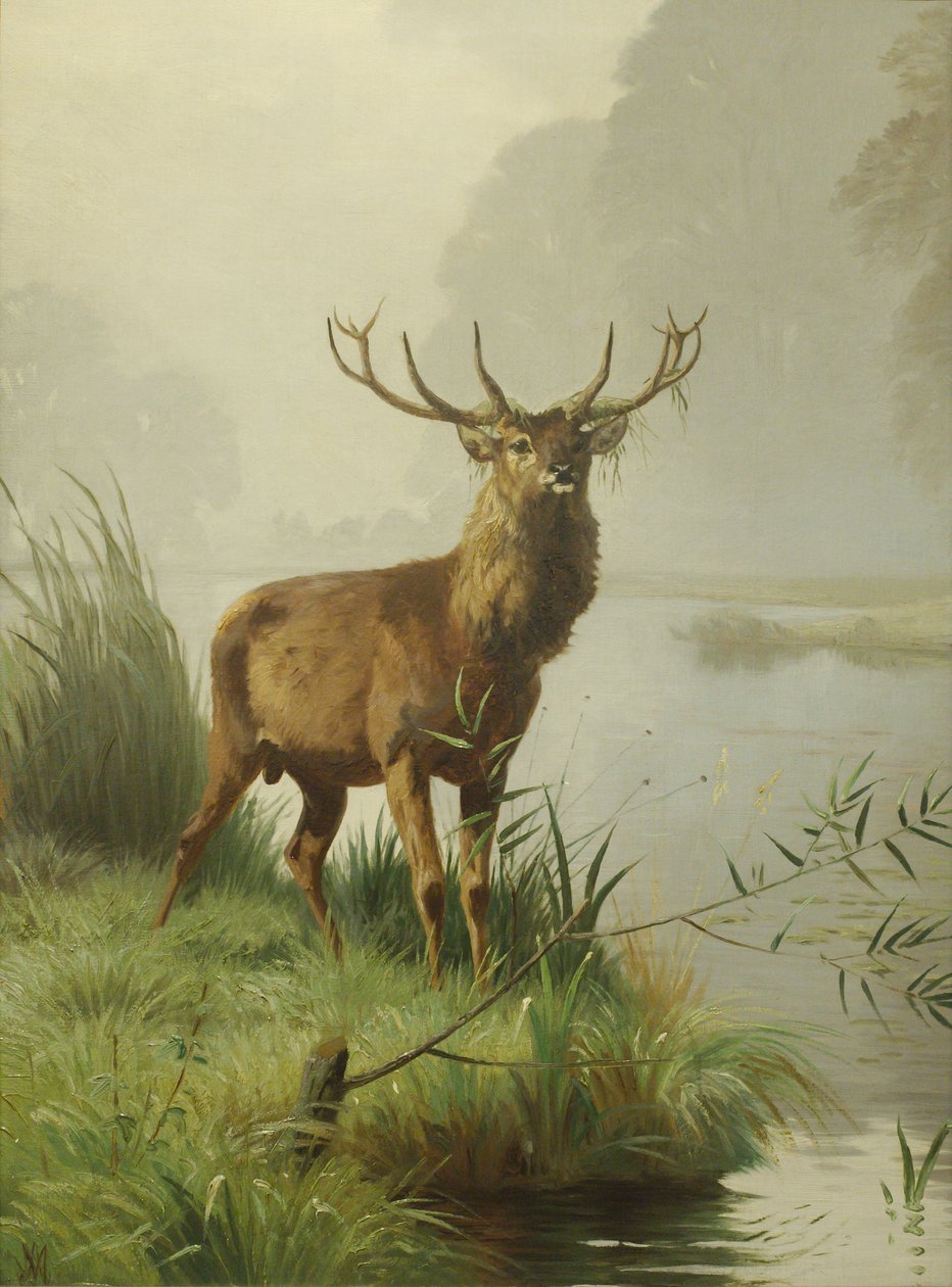 Cervo rosso da Adolf Mackeprang
